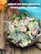 Spinach and Bean Sprouts Salad in Creamy Celery Dressing